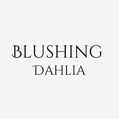 Blushing Dahlia